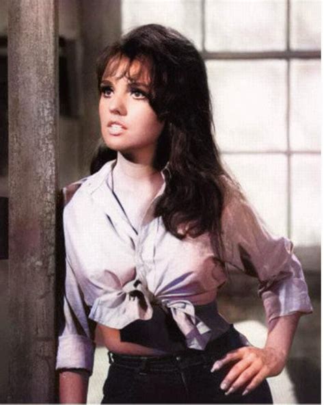 dawn wells sexy pics|Dawn Wells pictures and photos